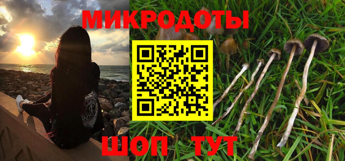 Псилоцибиновые грибы мицелий Губкинский