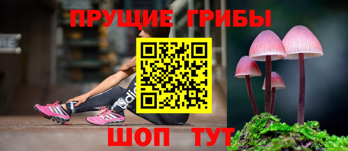 Галлюциногенные грибы Psilocybine cubensis  как найти наркотики  Галлюциногенные грибы прущие грибы  Губкинский  Вход с VPN 