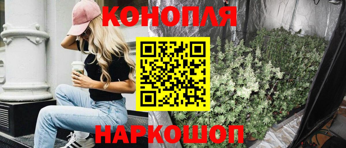 Бошки марихуана сатива  Каннабис индика  Губкинский  Канабис индика  Вход с VPN 